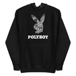 Load image into Gallery viewer, Polyboy Unisex Men’s Hoodie
